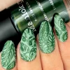 Alocasia (B441) - Shimmer Forest Green Stamping Polish