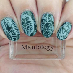 Alocasia (B441) - Shimmer Forest Green Stamping Polish