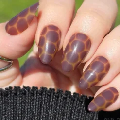 Amber Shell Press On Nails - Short Almond