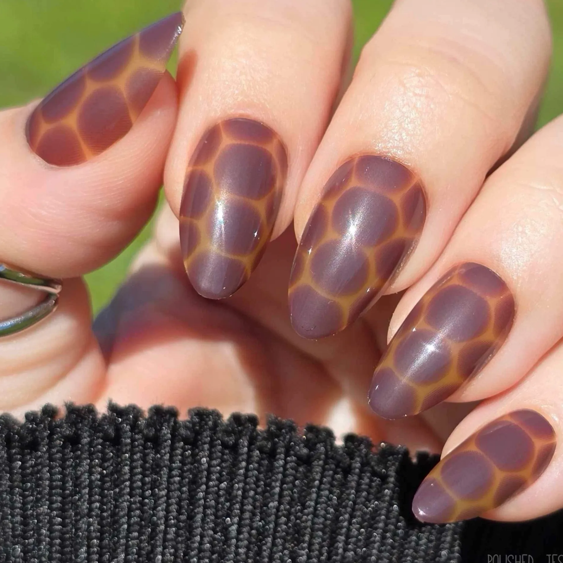 Amber Shell Press On Nails - Short Almond