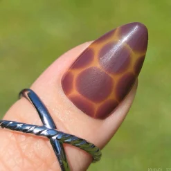 Amber Shell Press On Nails - Short Almond