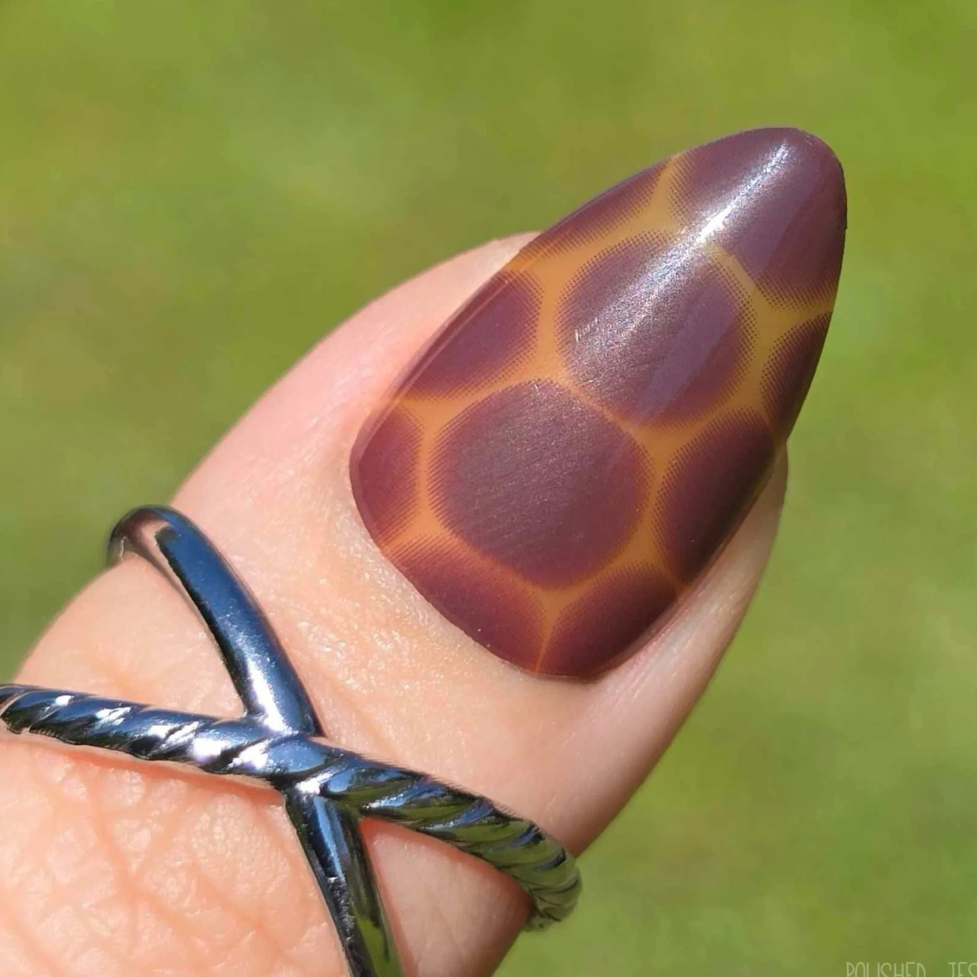 Amber Shell Press On Nails - Short Almond
