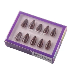 Amber Shell Press On Nails - Short Almond