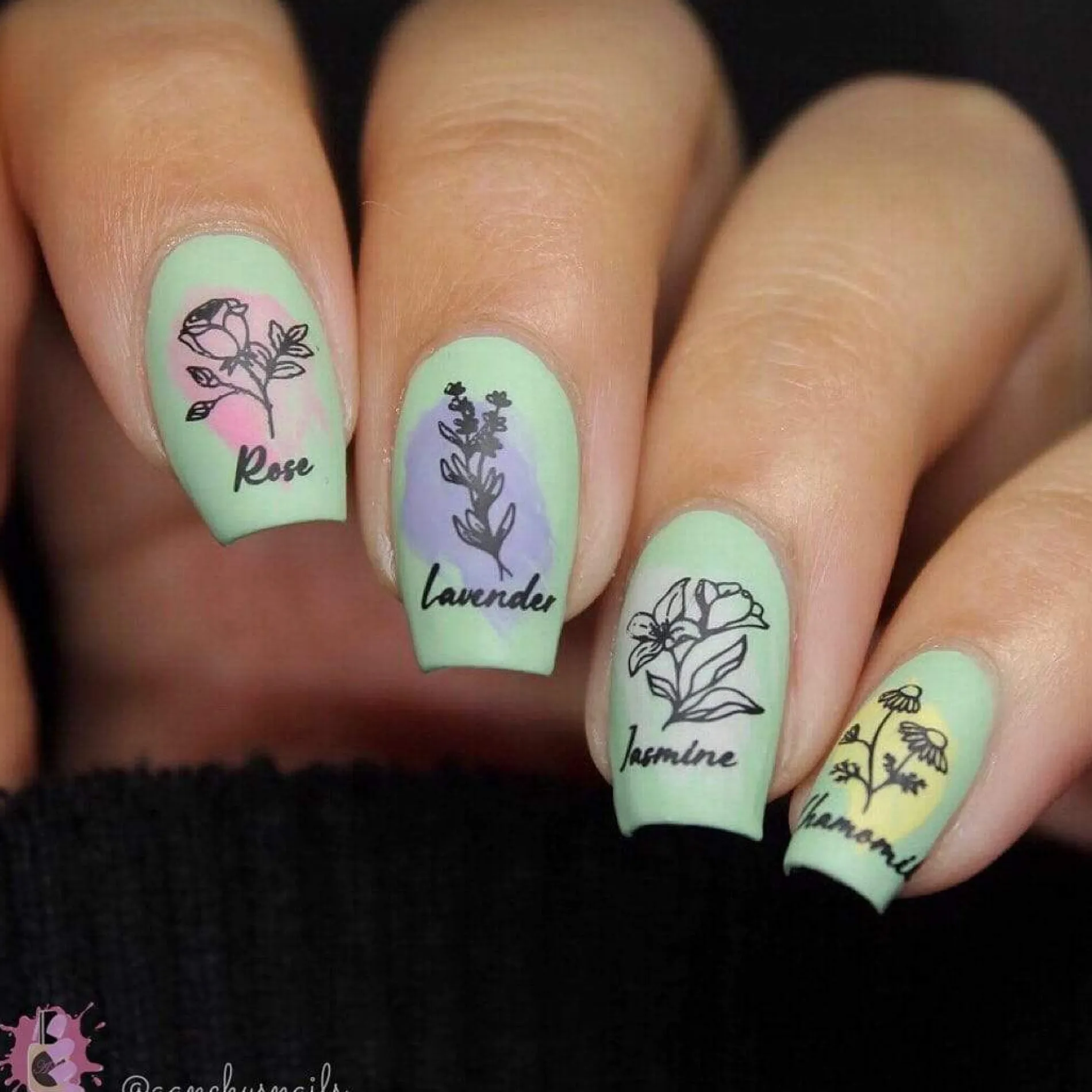 Aromatherapy: Scented Garden (MXM049) - Nail Stamping Plate