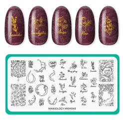 Aromatherapy: Scented Garden (MXM049) - Nail Stamping Plate