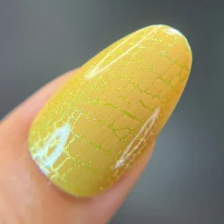 Artist Collaboration: Alleehgatorclaws (M534) - Nail Stamping Plate