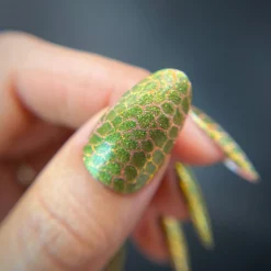 Artist Collaboration: Alleehgatorclaws (M534) - Nail Stamping Plate