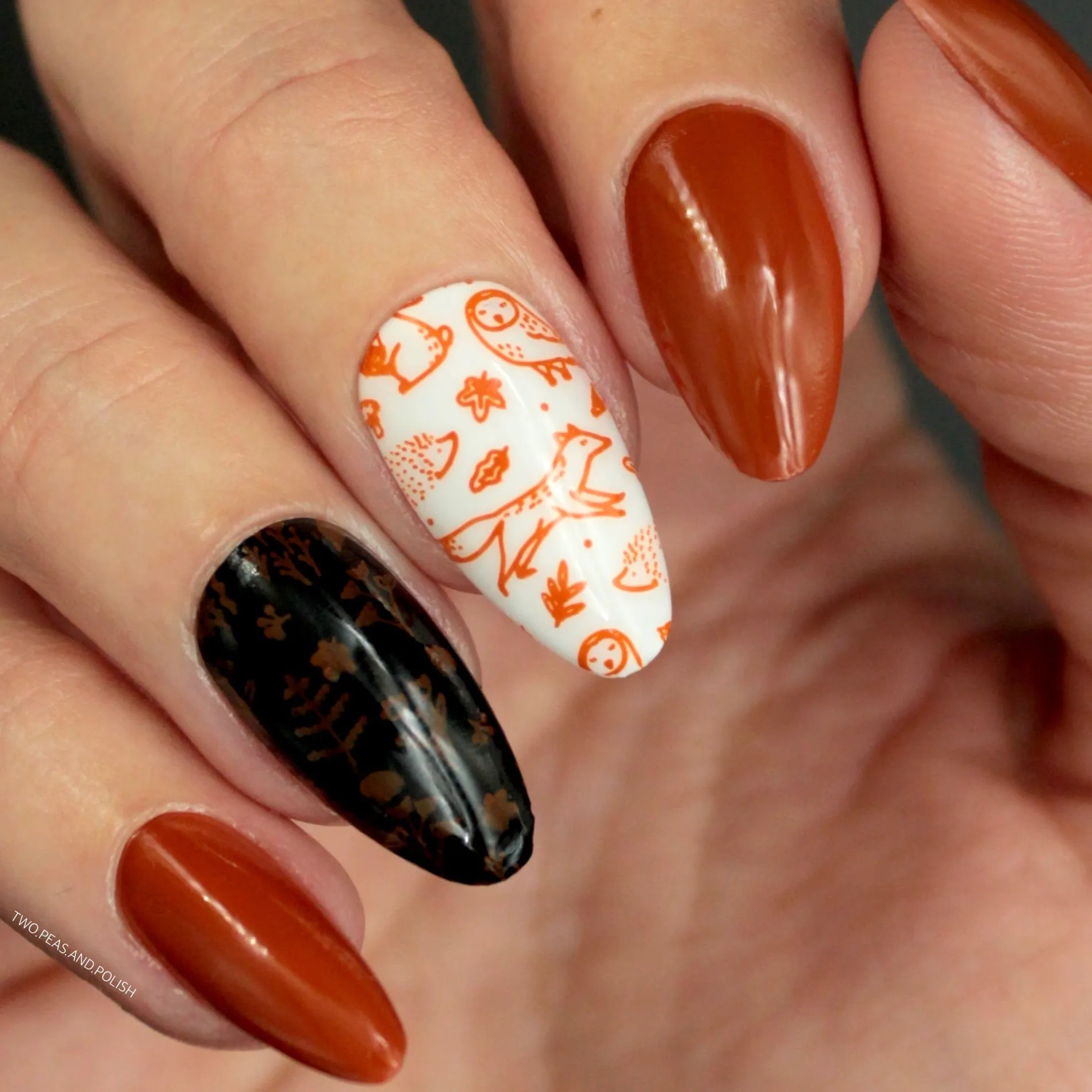 Autumn Blossom: 3-Piece Cream Stamping Art Polish Set
