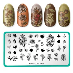 Autumn Harvest: Set of 3 Nail Stamping Plates