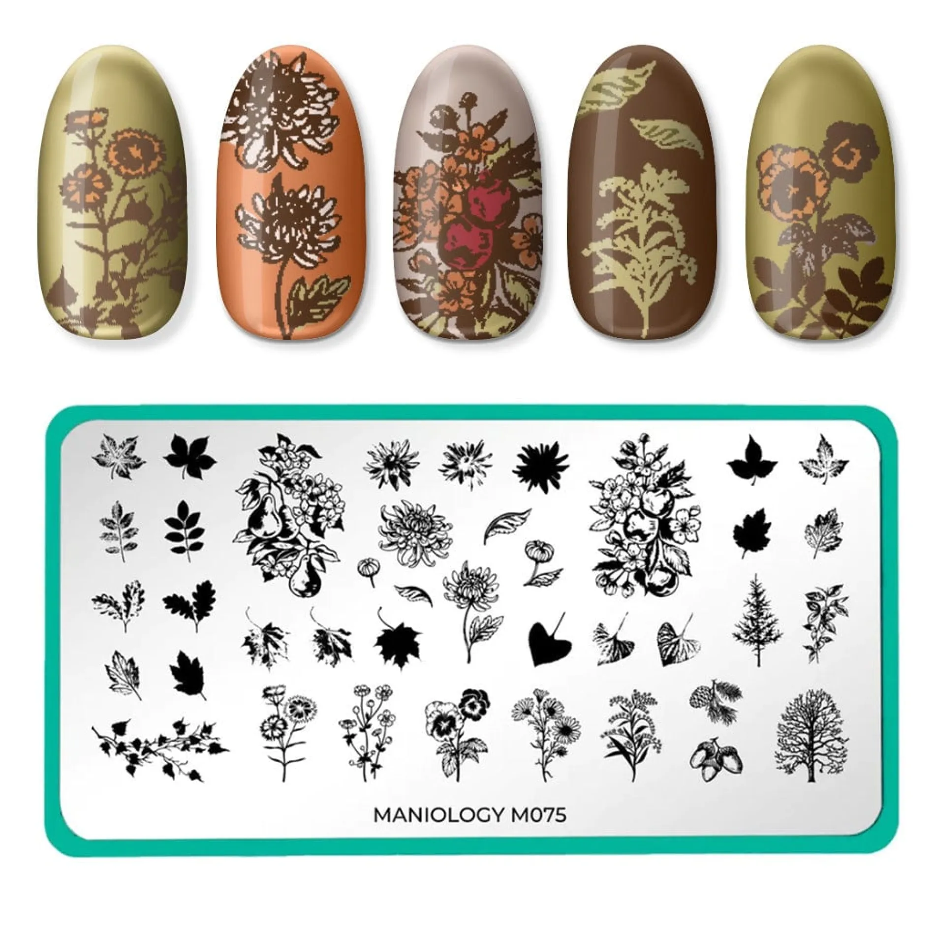 Autumn Harvest: Set of 3 Nail Stamping Plates