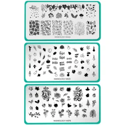 Autumn Harvest: Set of 3 Nail Stamping Plates