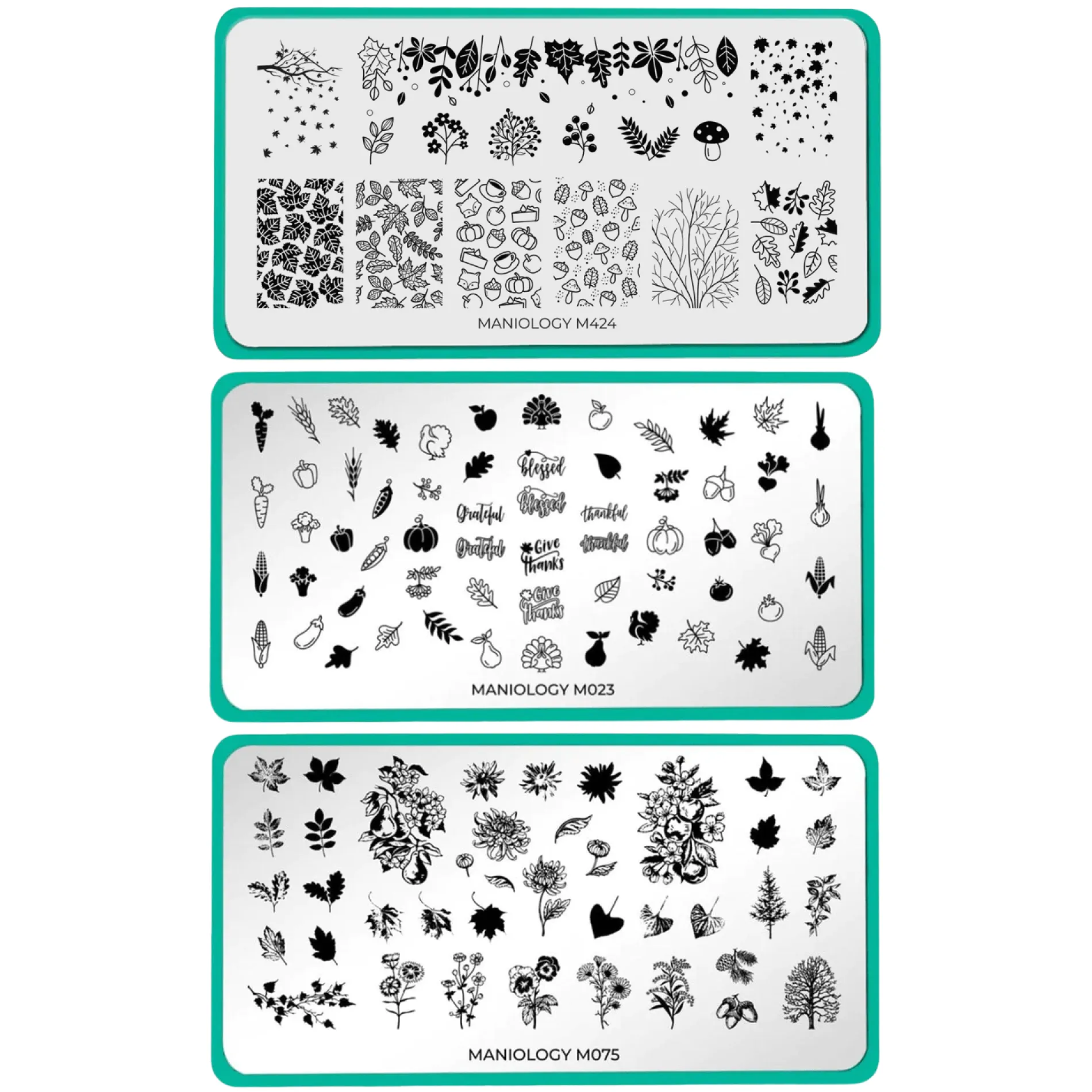 Autumn Harvest: Set of 3 Nail Stamping Plates