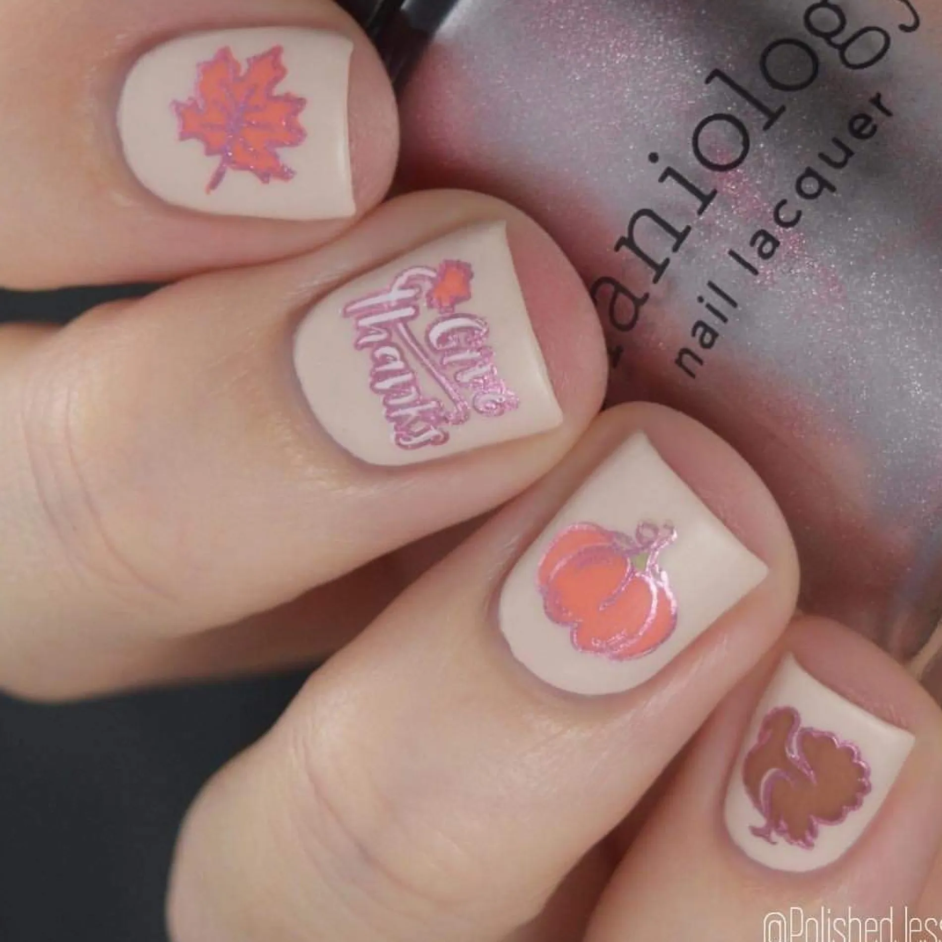 Autumn Harvest: Set of 3 Nail Stamping Plates