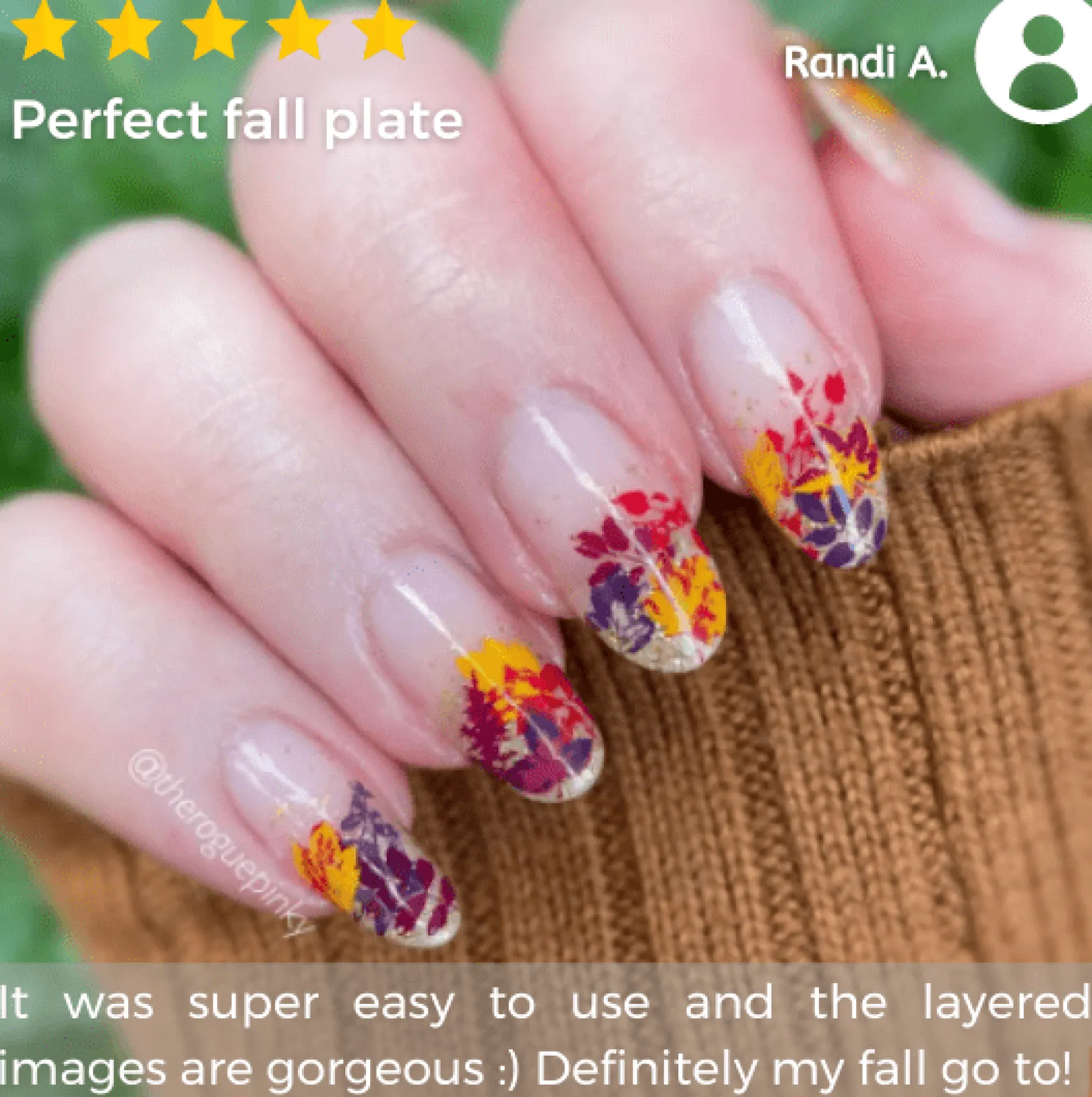 Autumn Harvest: Set of 3 Nail Stamping Plates