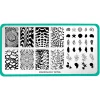 Beachcomber: Nail Stamping Starter Kit