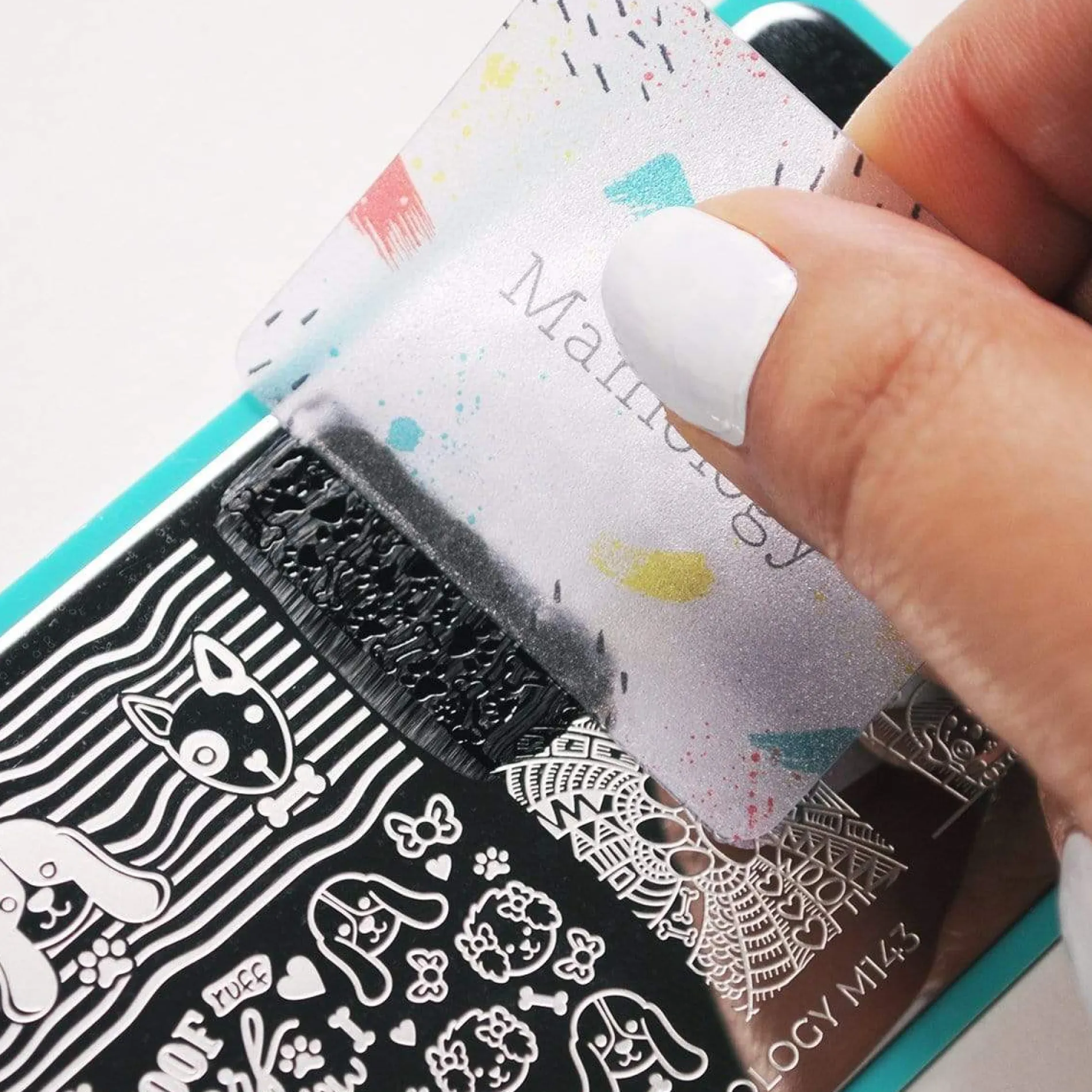 Best in Show: Dog-Themed Nail Stamping Starter Kit