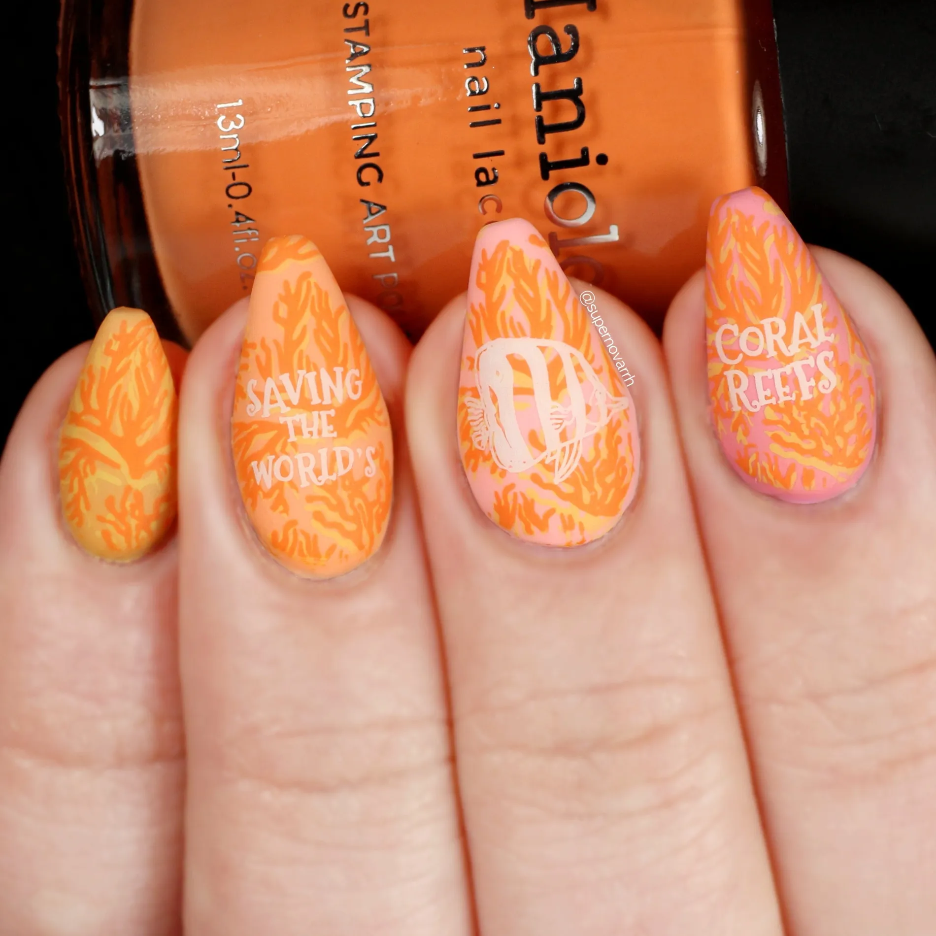 Carnation (B428) - Orange Cream Stamping Polish