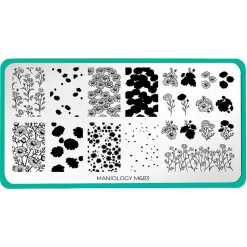 Chamomile Melody (M683) - Nail Stamping Plate