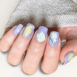 Chrysanthemum Blossoms (M664) - Nail Stamping Plate