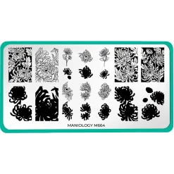 Chrysanthemum Blossoms (M664) - Nail Stamping Plate