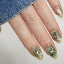 Chrysanthemum Blossoms (M664) - Nail Stamping Plate