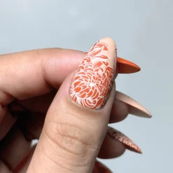 Chrysanthemum Blossoms (M664) - Nail Stamping Plate