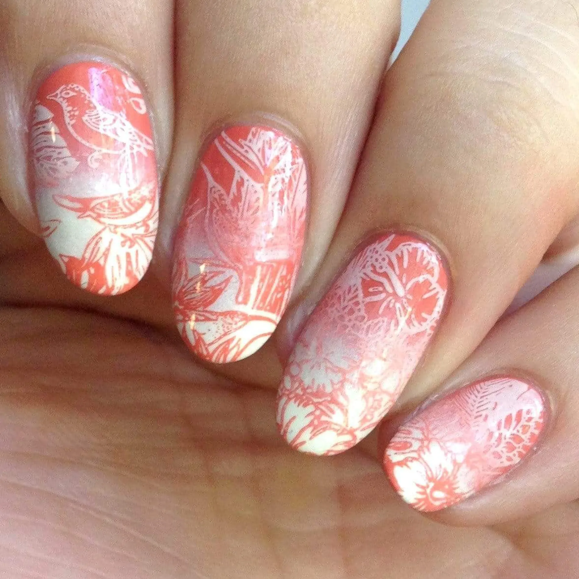 Coconut (B268) - Custard Creme Stamping Polish