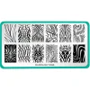 Fashion Forward (M555) - Nail Stamping Plate