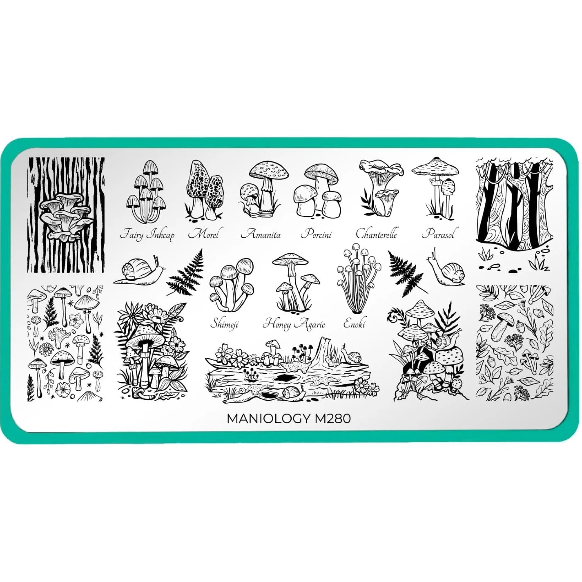 Forest Wonders: Set of 2 Nail Stamping Plates