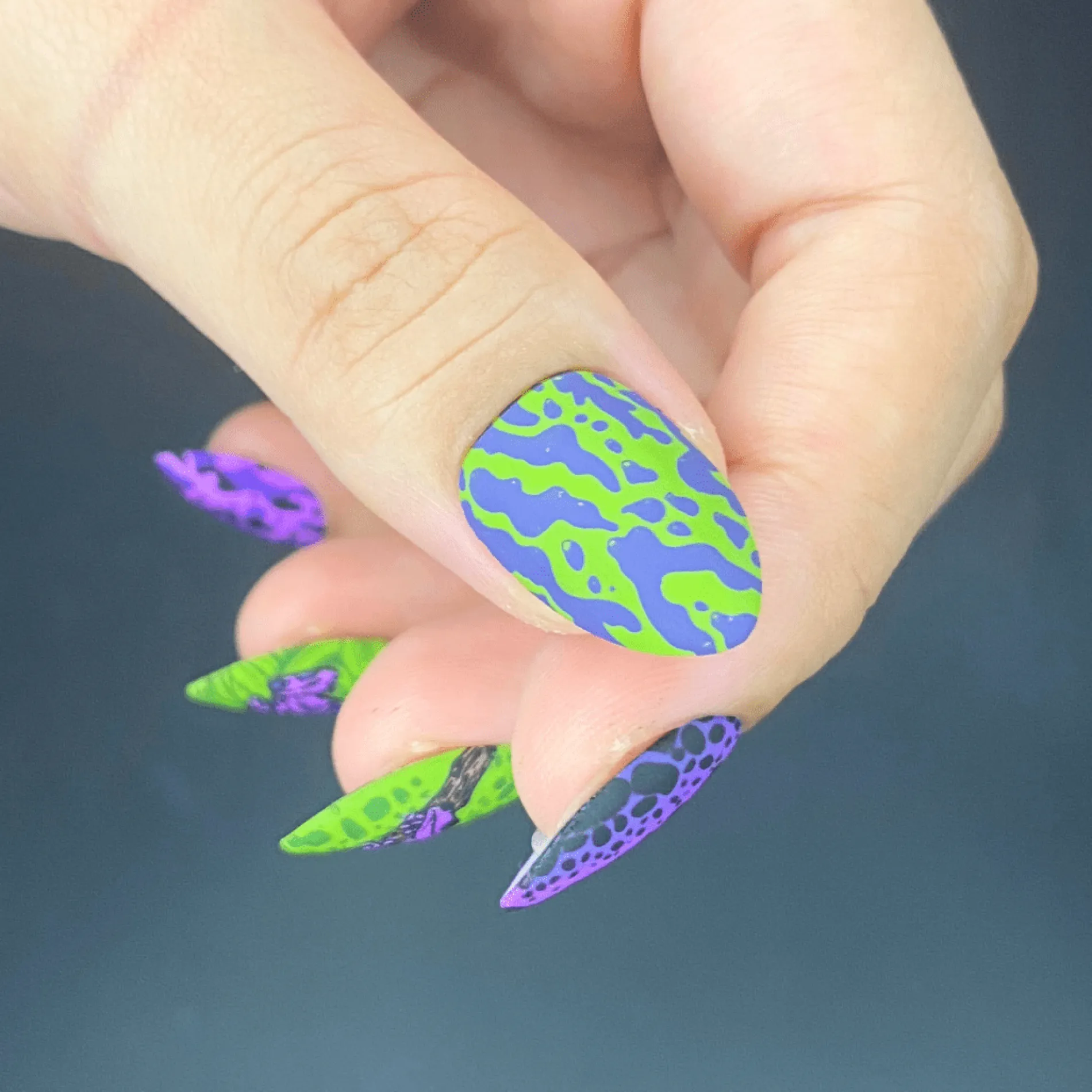 Forest Wonders: Set of 2 Nail Stamping Plates