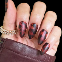 Gloss & Grain: 3-Piece Sheer Tint Nail Polish Set