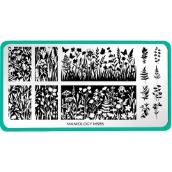 Growing Shadows (M585) - Nail Stamping Plate