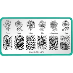 Grow With Love (m179) - Nail Stamping Plate
