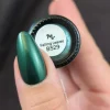 Harvest Hues: Falling Leaves (B529) - Green Metallic Stamping Polish