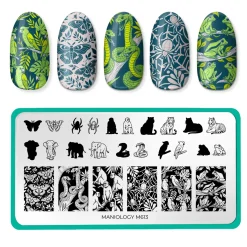 Jungle Secrets (M613) - Nail Stamping Plate
