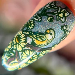 Love Birds (M569) - Nail Stamping Plate