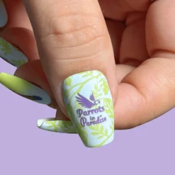 Parrots in Paradise Sanctuary (M624) - Nail Stamping Plate