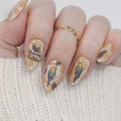 Parrots in Paradise Sanctuary (M624) - Nail Stamping Plate