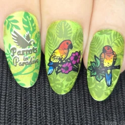 Parrots in Paradise Sanctuary (M624) - Nail Stamping Plate