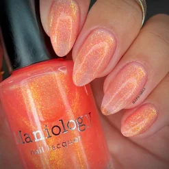Pau Hana: 3-Piece Regular Polish Set