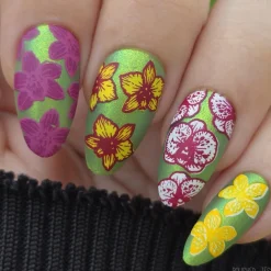 Poised Petals (M606) - Nail Stamping Plate