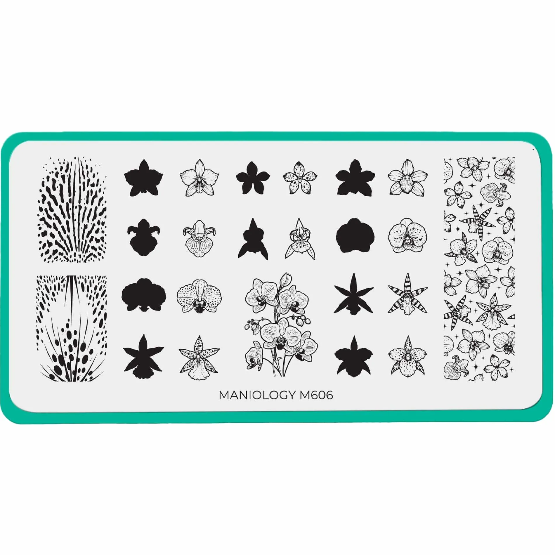 Poised Petals (M606) - Nail Stamping Plate