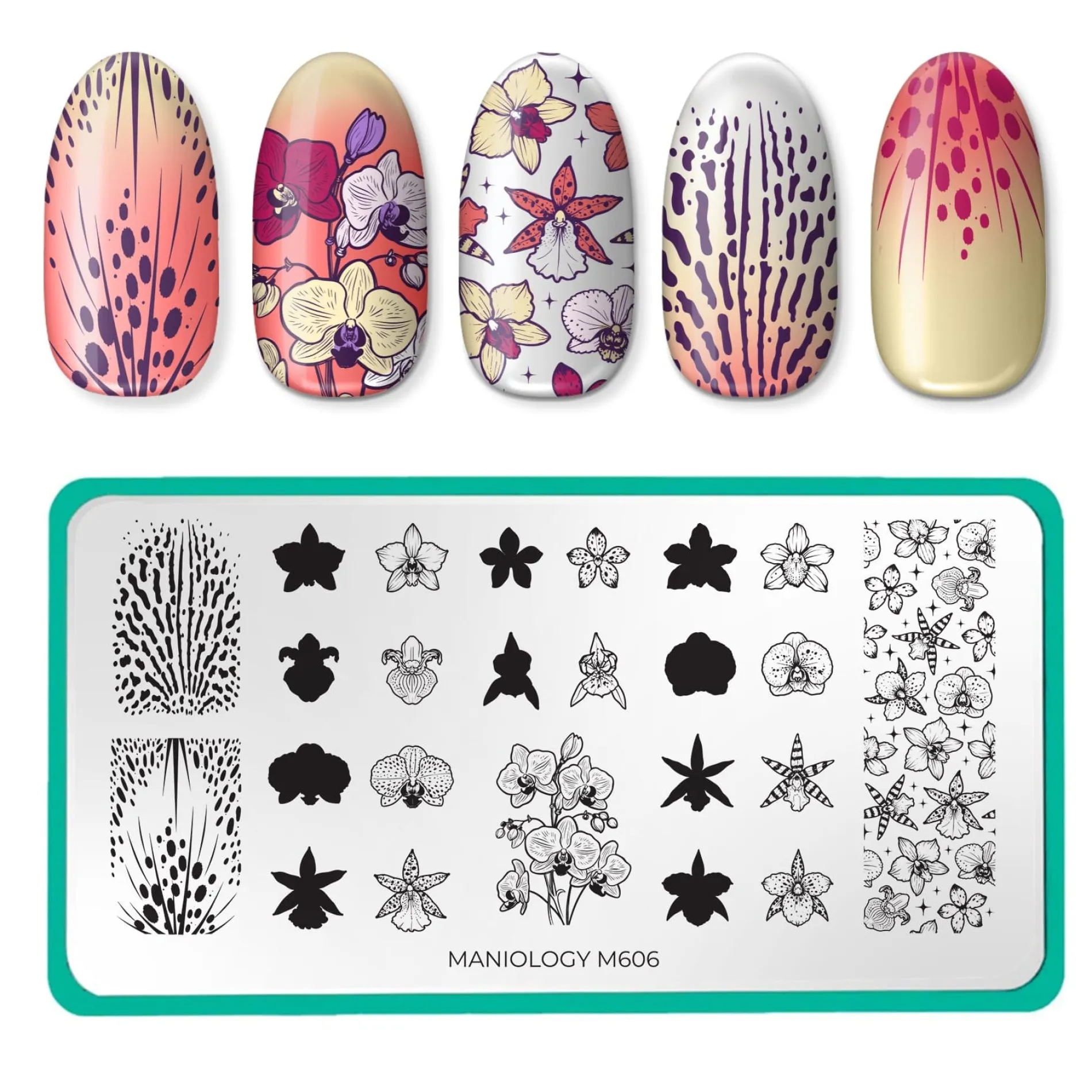 Poised Petals (M606) - Nail Stamping Plate