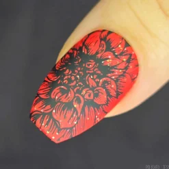 Pretty Petals (M571) - Nail Stamping Plate