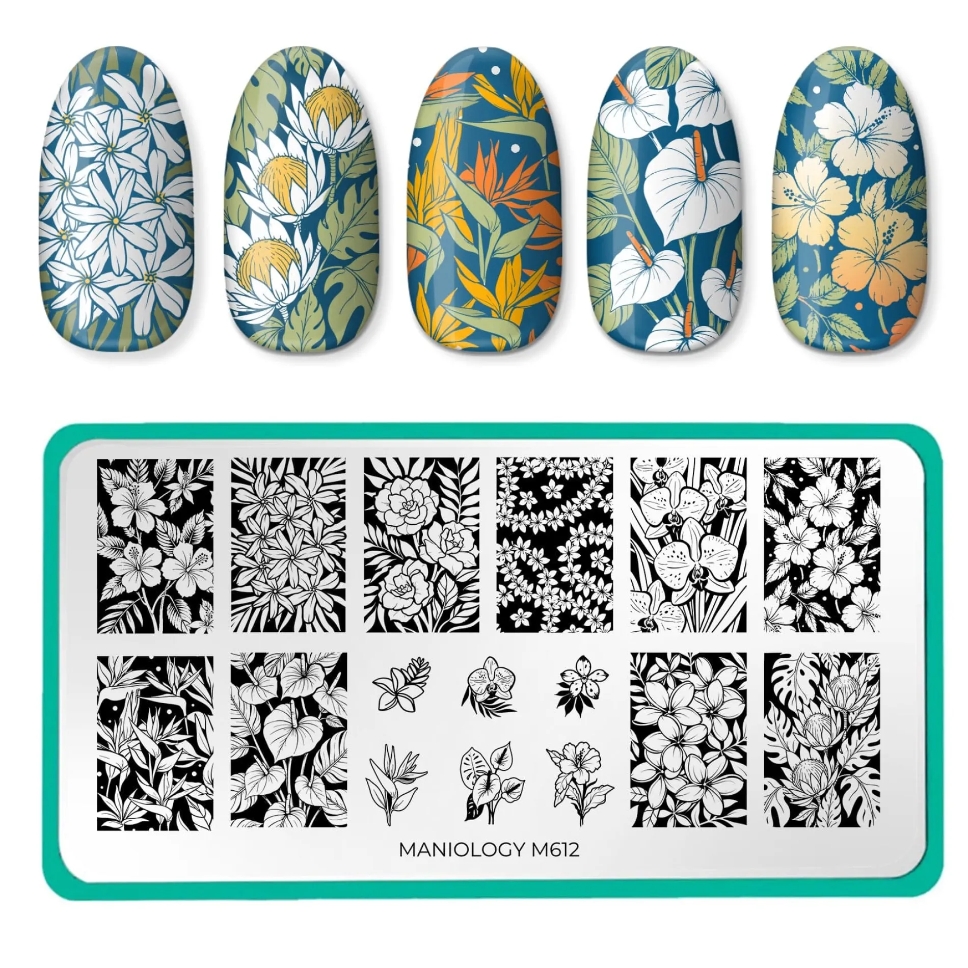 Rainforest Blooms (M612) - Nail Stamping Plate
