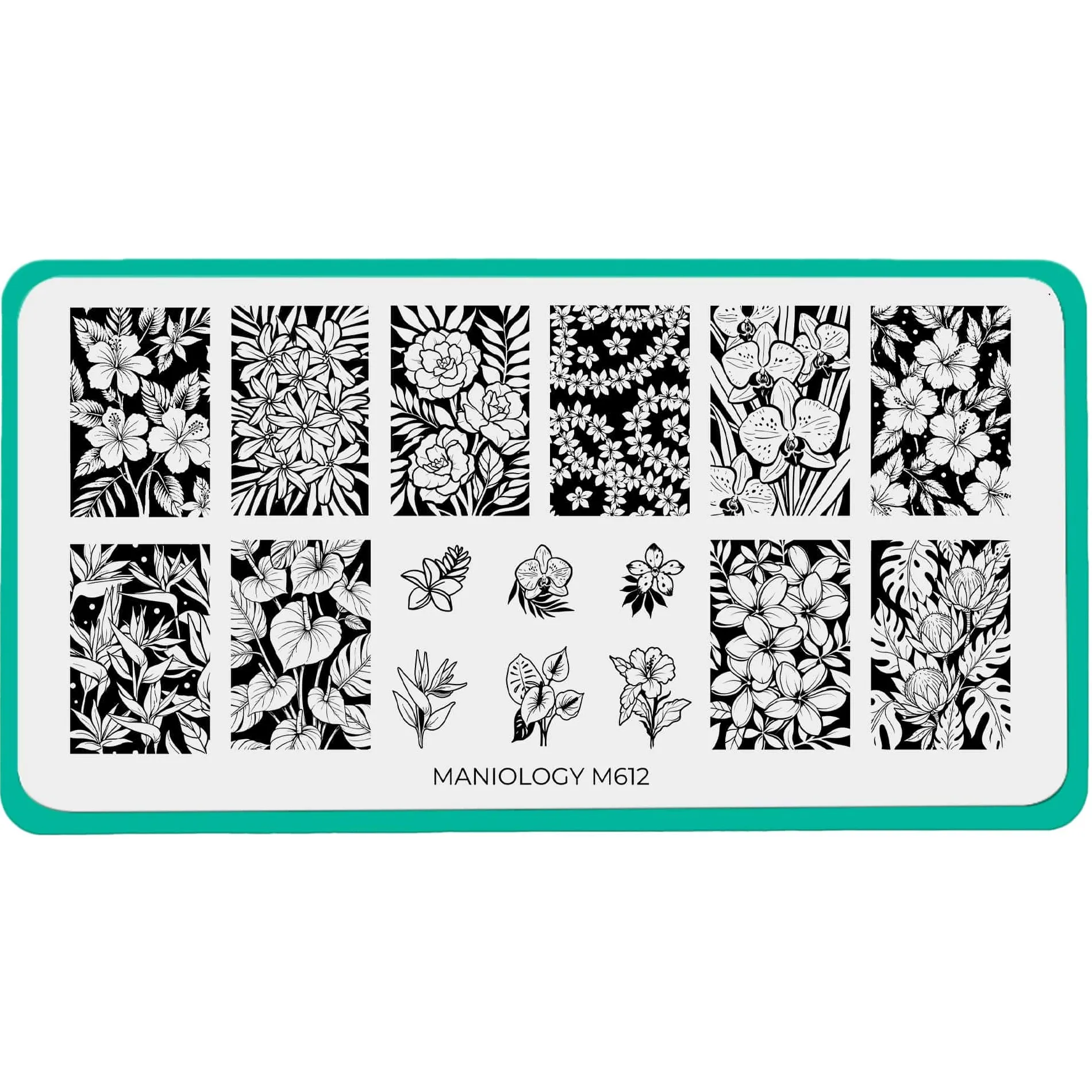 Rainforest Blooms (M612) - Nail Stamping Plate