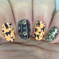 SFAC - Kauai Humane Society Nail Stamping Bundle