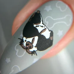 SFAC - Kauai Humane Society Nail Stamping Bundle