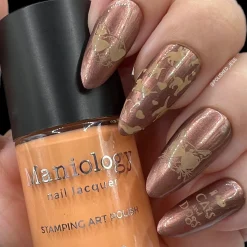 SFAC - Kauai Humane Society Nail Stamping Bundle
