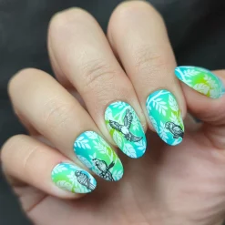SFAC - Parrots in Paradise Nail Stamping Bundle